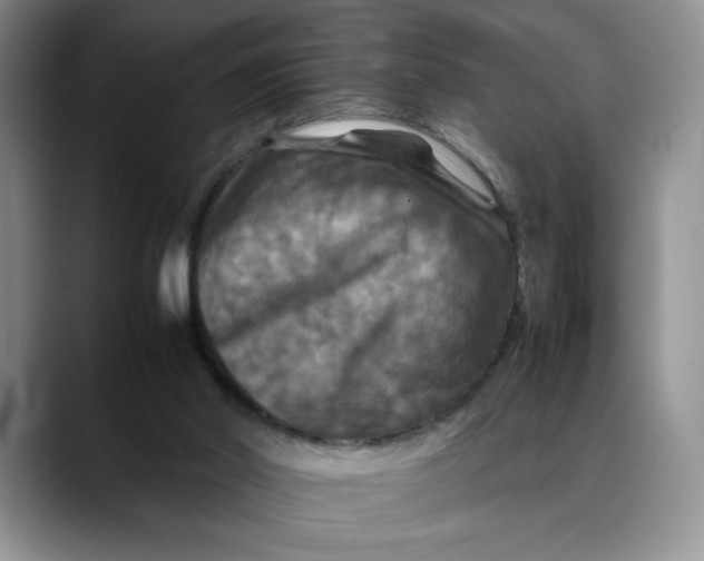 X0000088480014200706121539