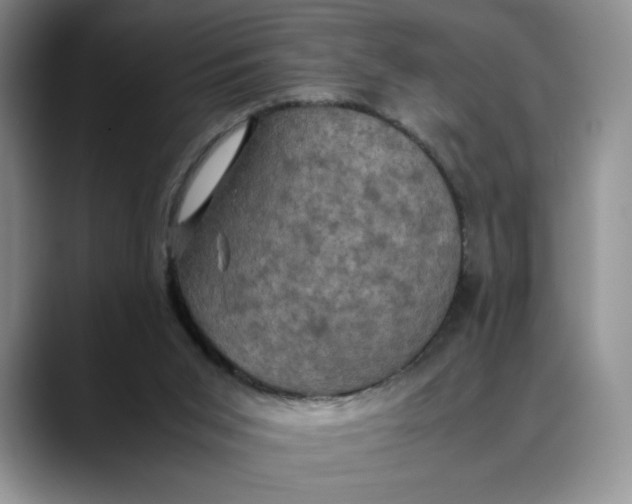 X0000088480015200706121539