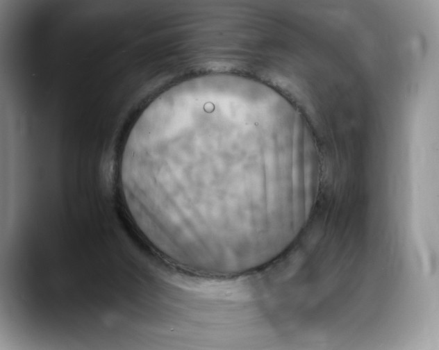 X0000088480016200706121539