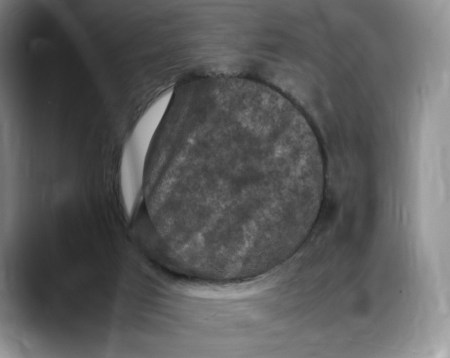 X0000088480017200706121539