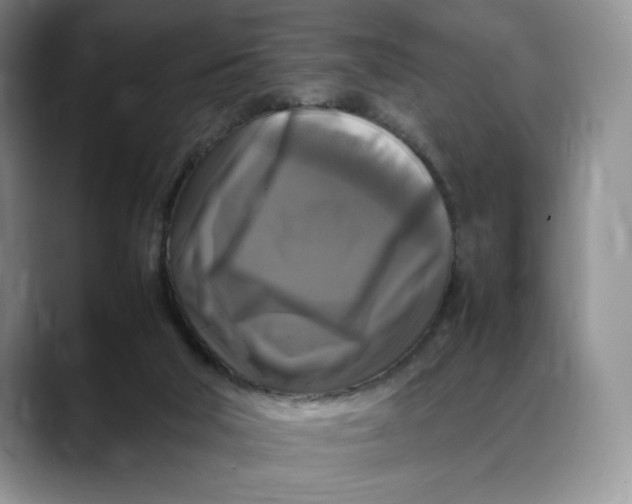 X0000088480018200706121539