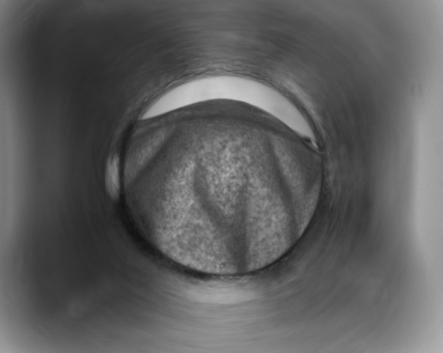 X0000088480020200706121539