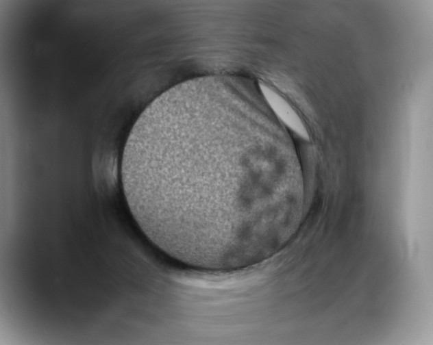 X0000088480021200706121539