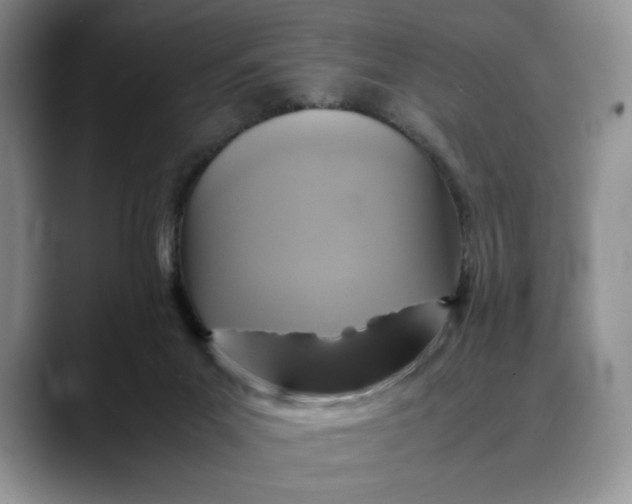 X0000088480023200706121539