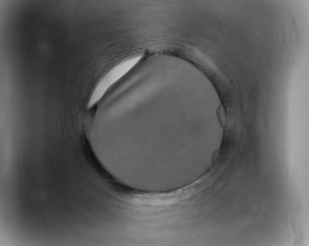 X0000088480025200706121539