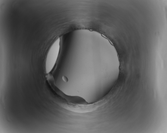 X0000088480027200706121539