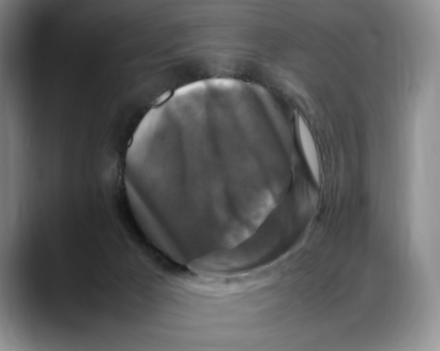 X0000088480029200706121539