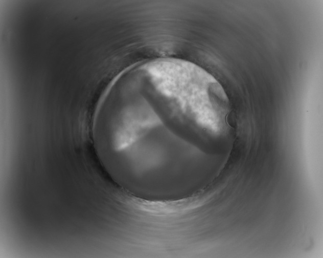 X0000088480030200706121539