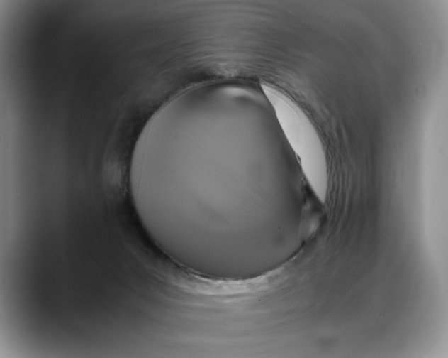 X0000088480031200706121539