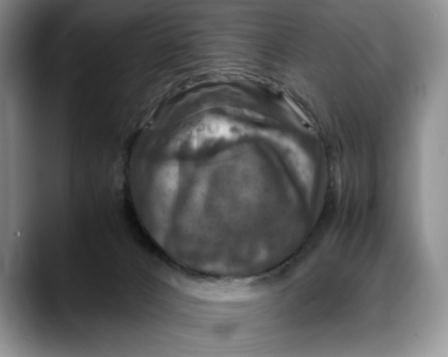 X0000088480032200706121539