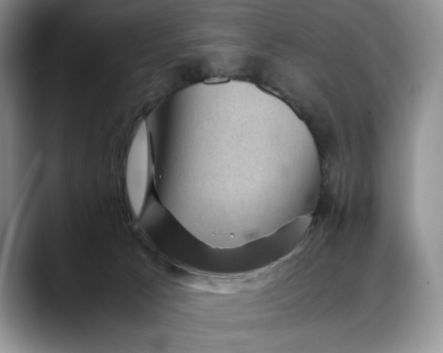 X0000088480033200706121539