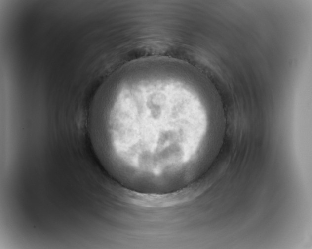 X0000088480034200706121539