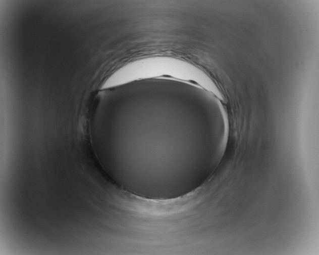 X0000088480035200706121539