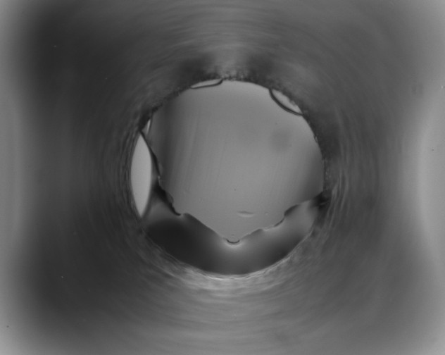 X0000088480039200706121538