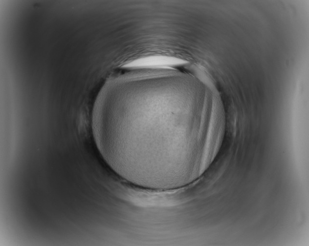 X0000088480040200706121538