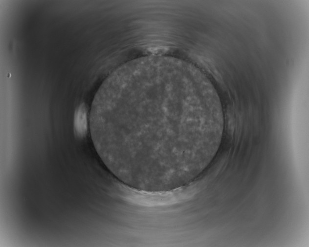 X0000088480042200706121538