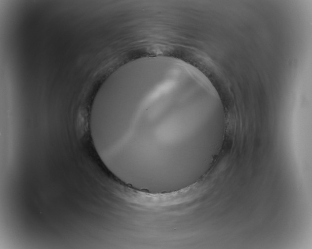 X0000088480043200706121538