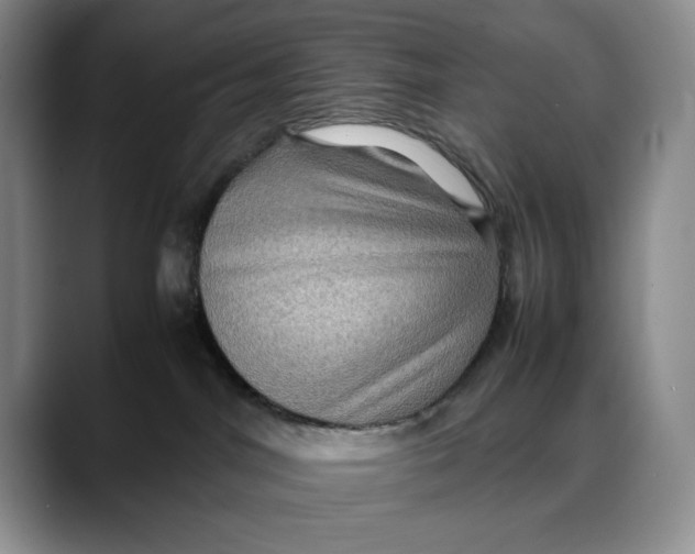 X0000088480044200706121538