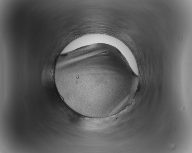 X0000088480045200706121538