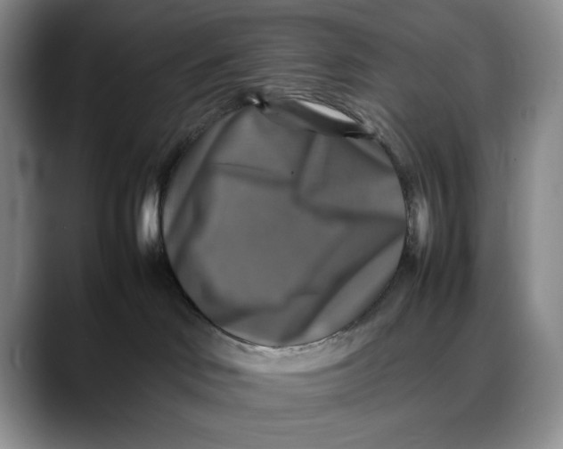 X0000088480046200706121538