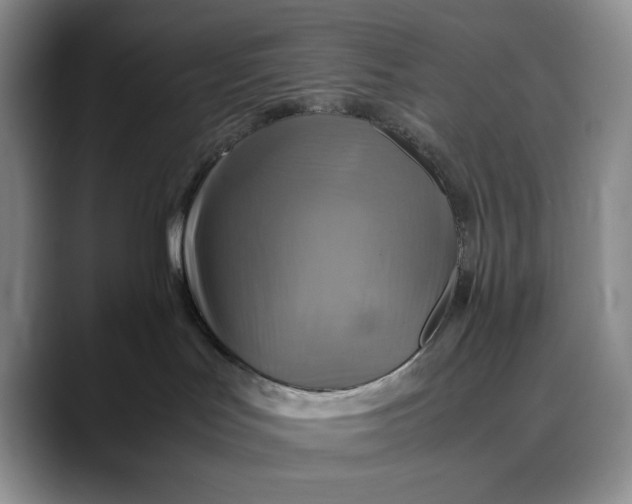 X0000088480047200706121538