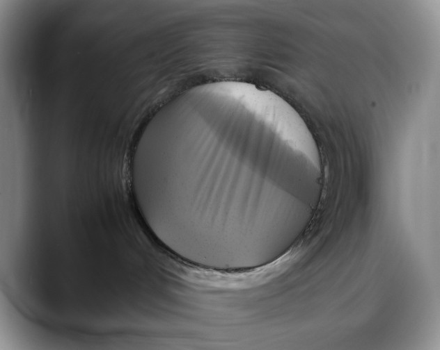 X0000088480048200706121538