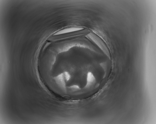 X0000088480049200706121538