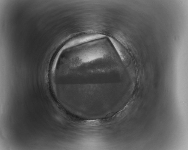 X0000088480050200706121538