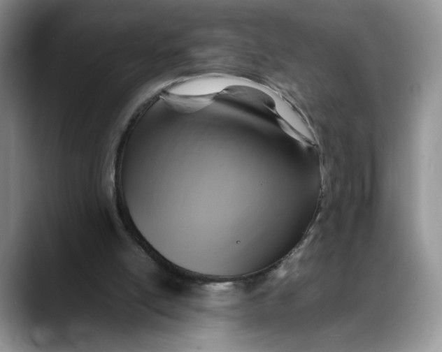 X0000088480054200706121538