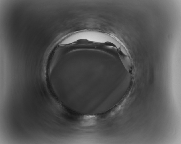 X0000088480055200706121538