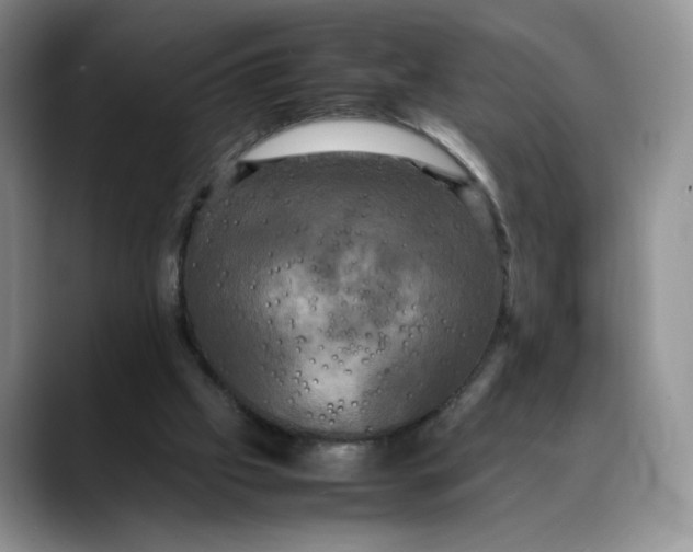 X0000088480057200706121538