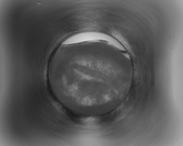 X0000088480058200706121538