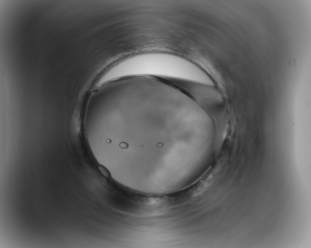 X0000088480060200706121538