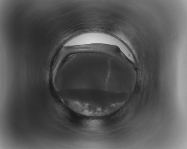 X0000088480063200706121538