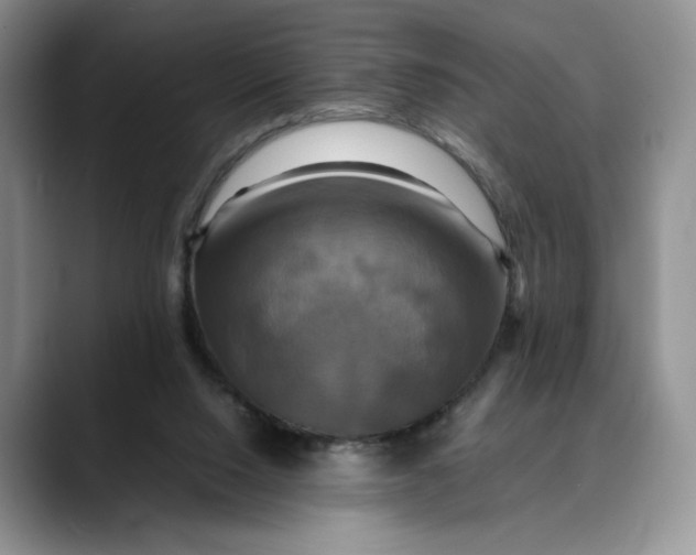 X0000088480064200706121538