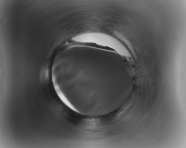 X0000088480067200706121538