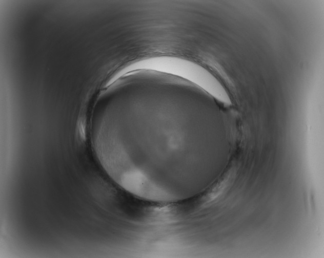 X0000088480068200706121538