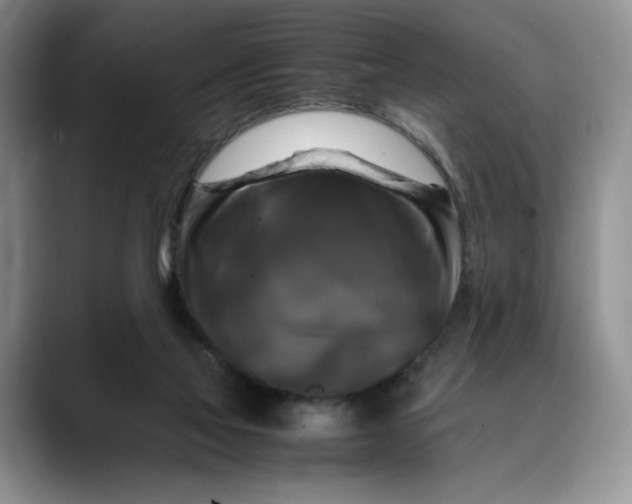 X0000088480069200706121538