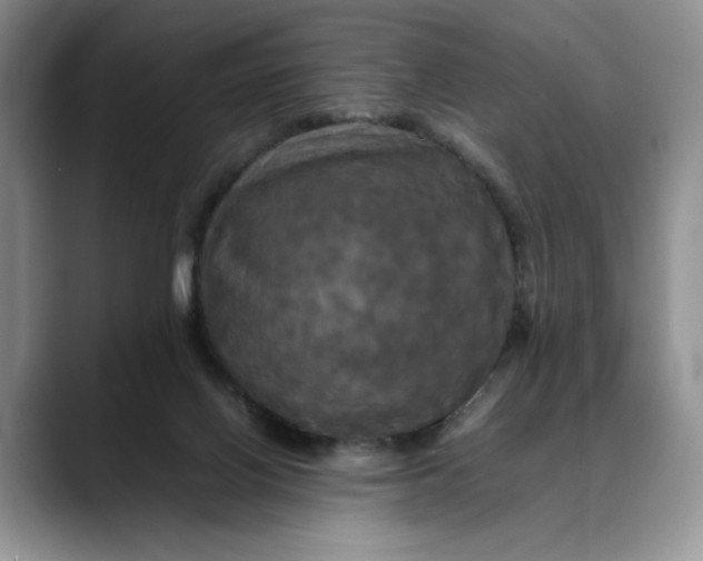 X0000088480070200706121538