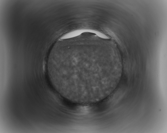 X0000088480071200706121538