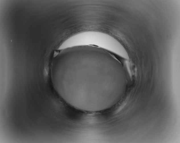 X0000088480072200706121538