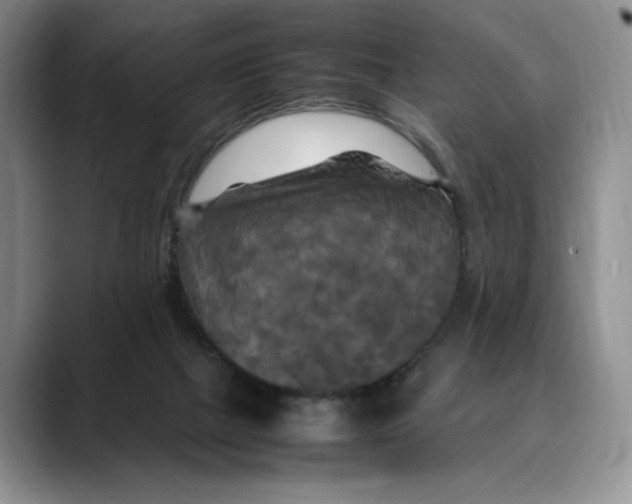 X0000088480073200706121538