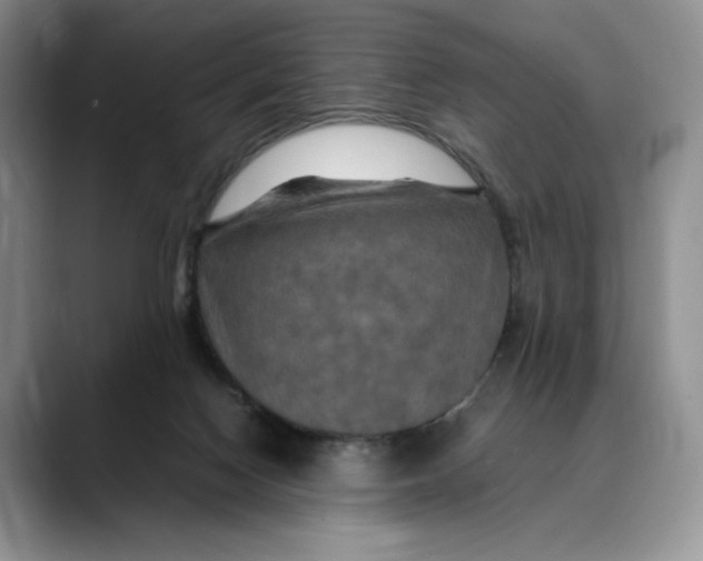 X0000088480074200706121538