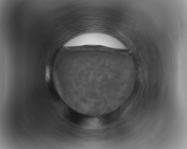 X0000088480075200706121538