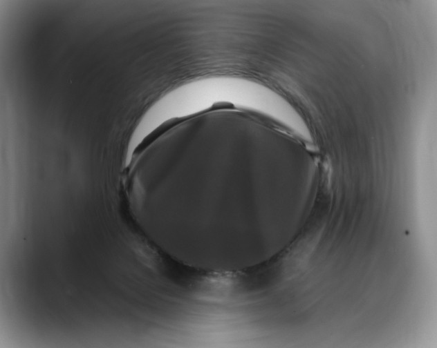 X0000088480076200706121538