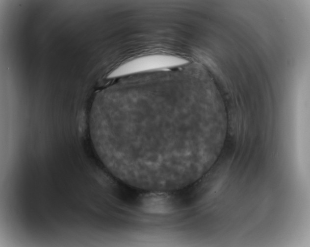 X0000088480077200706121538