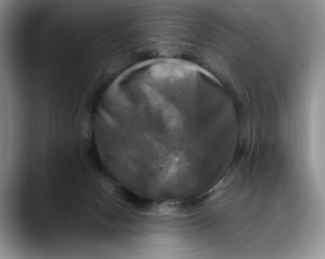 X0000088480078200706121538