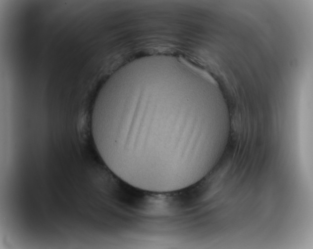 X0000088480079200706121538