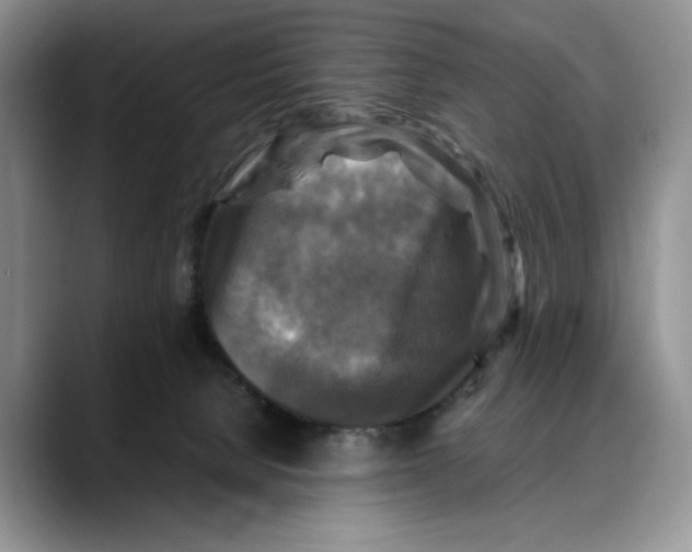 X0000088480080200706121538