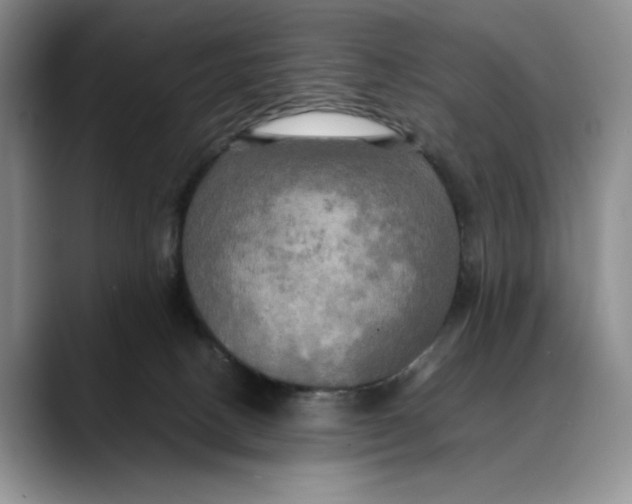 X0000088480082200706121538